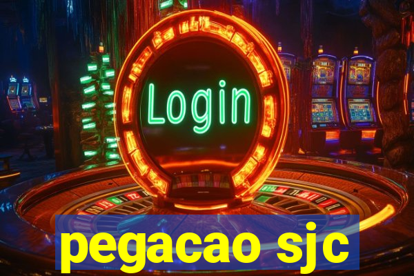 pegacao sjc