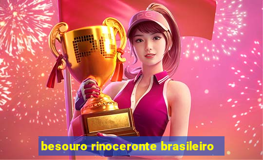 besouro rinoceronte brasileiro