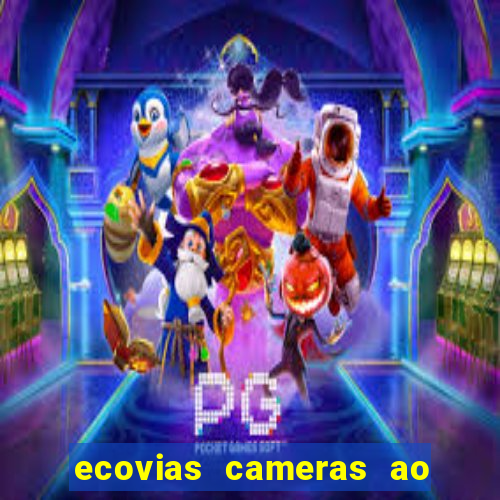 ecovias cameras ao vivo santos