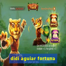 didi aguiar fortuna