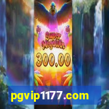 pgvip1177.com