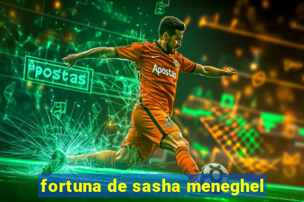 fortuna de sasha meneghel