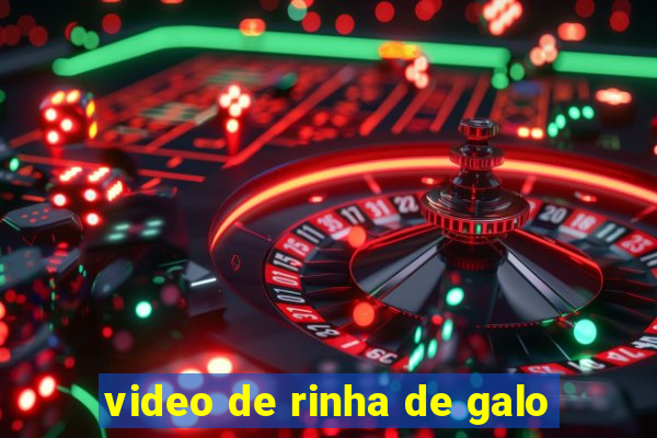 video de rinha de galo