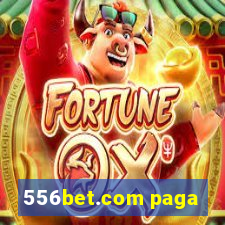 556bet.com paga