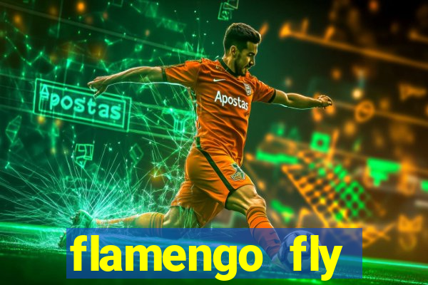 flamengo fly emirates ultimas noticias