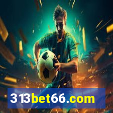 313bet66.com