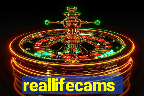 reallifecams