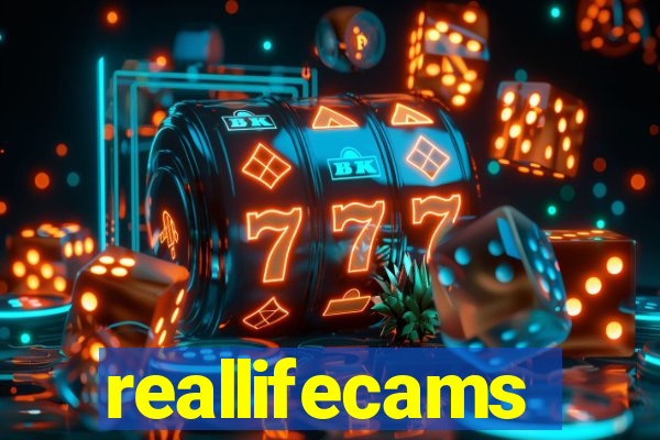 reallifecams