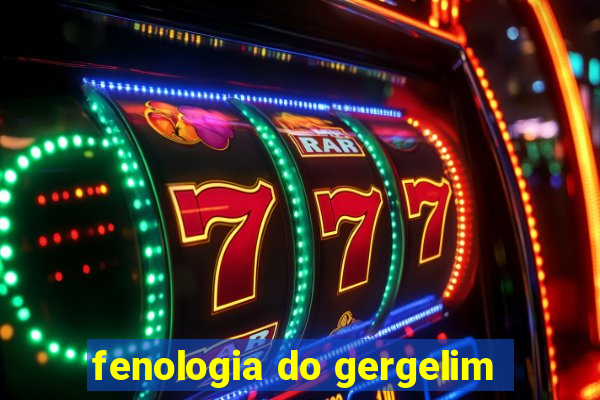 fenologia do gergelim