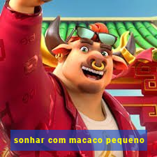 sonhar com macaco pequeno