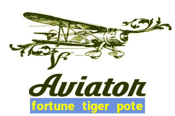 fortune tiger pote de ouro completo