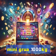 mini grua 1000kg