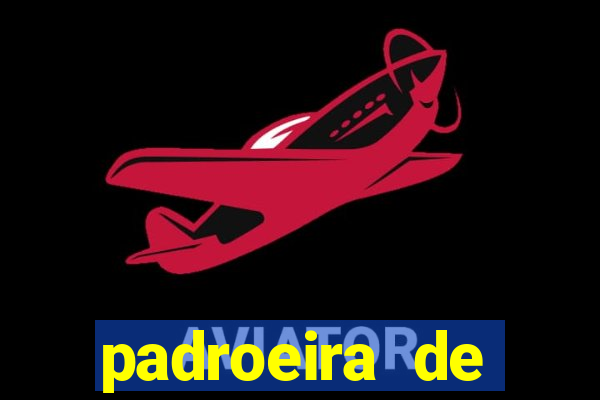 padroeira de cruzeiro sp