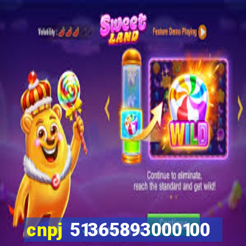 cnpj 51365893000100