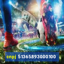 cnpj 51365893000100