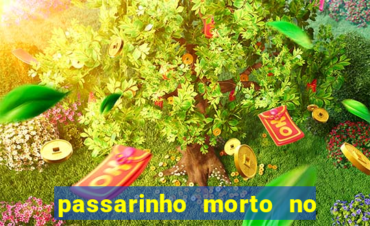 passarinho morto no quintal significado espiritual