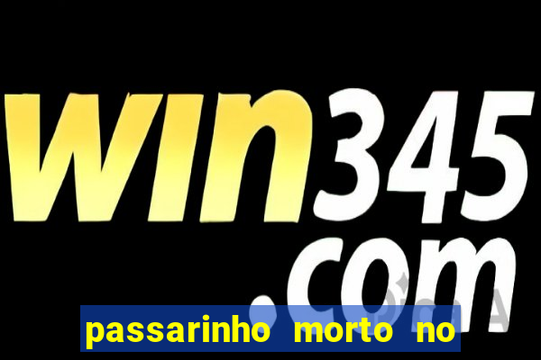 passarinho morto no quintal significado espiritual