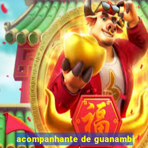 acompanhante de guanambi