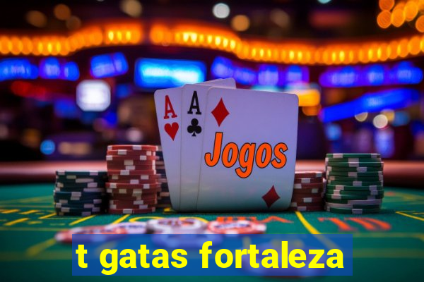 t gatas fortaleza