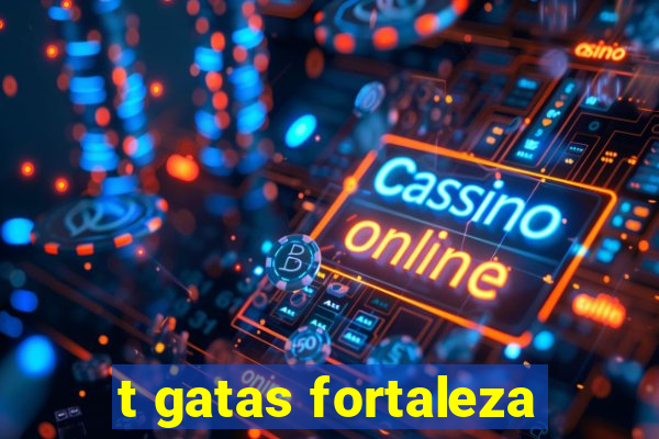 t gatas fortaleza