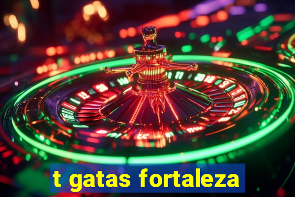 t gatas fortaleza