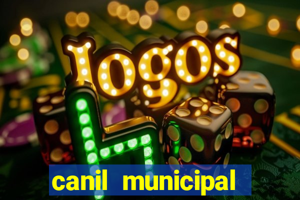 canil municipal porto alegre