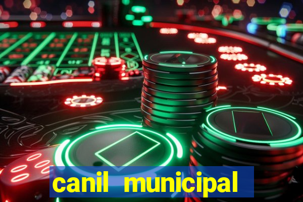 canil municipal porto alegre