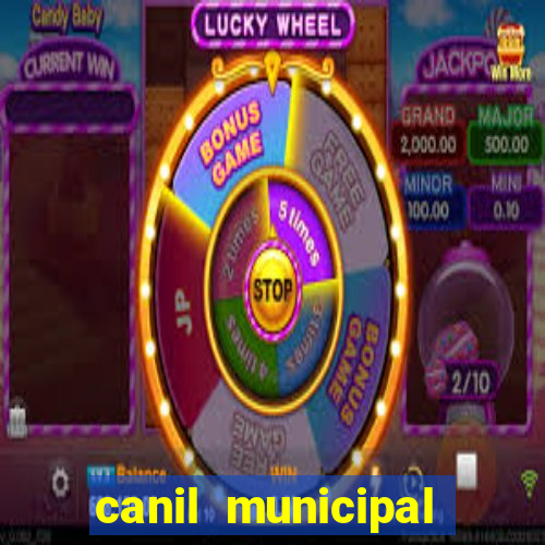 canil municipal porto alegre