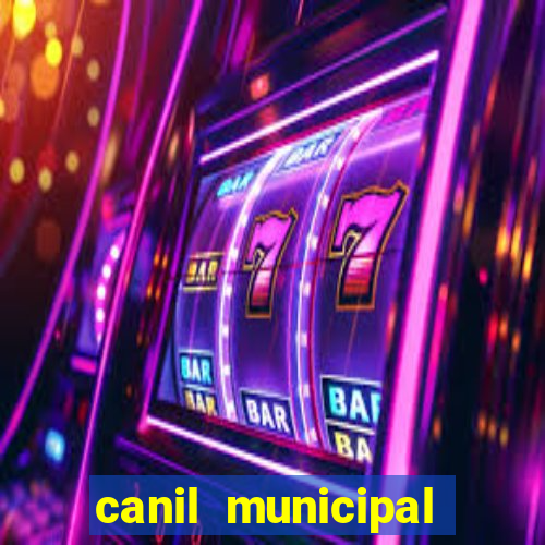 canil municipal porto alegre