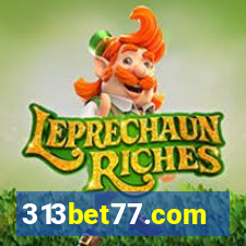 313bet77.com