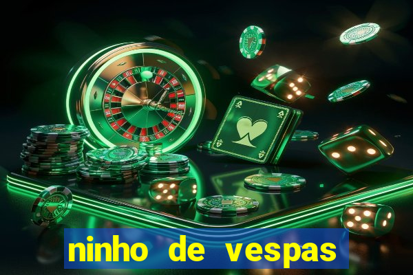 ninho de vespas significado espiritual