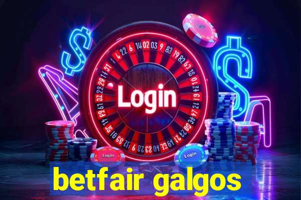 betfair galgos