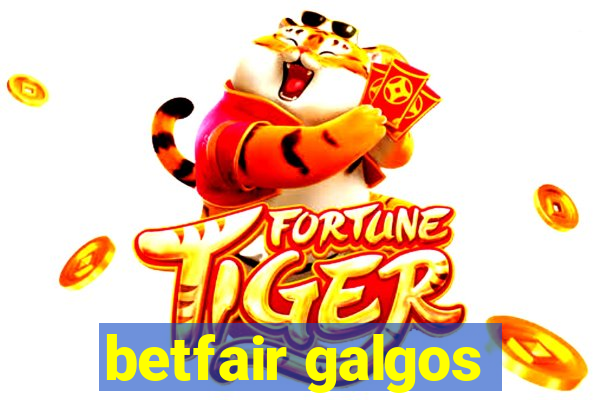 betfair galgos