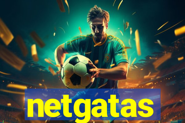 netgatas