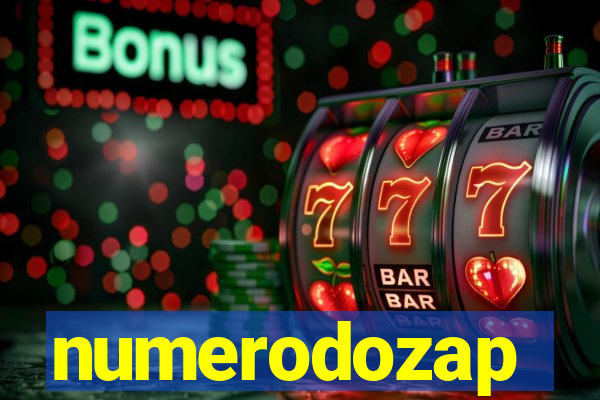 numerodozap