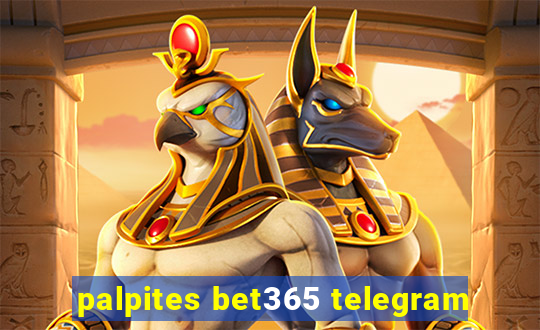 palpites bet365 telegram