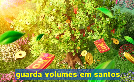 guarda volumes em santos