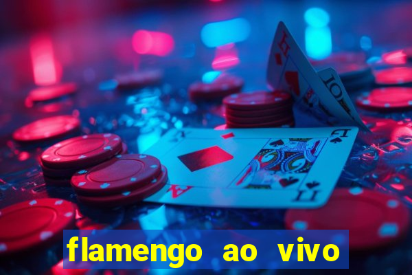 flamengo ao vivo multi tv