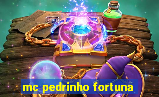 mc pedrinho fortuna