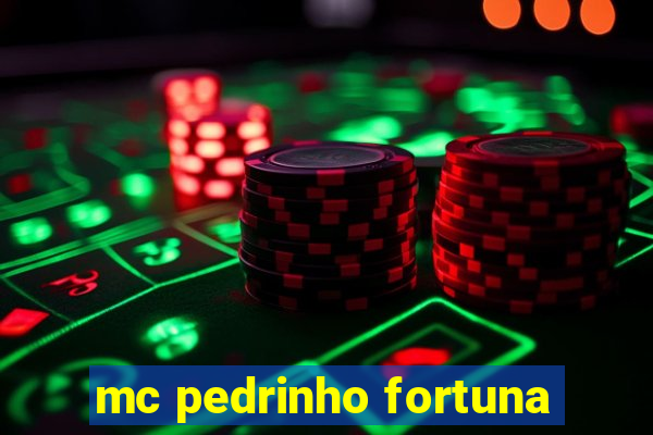 mc pedrinho fortuna