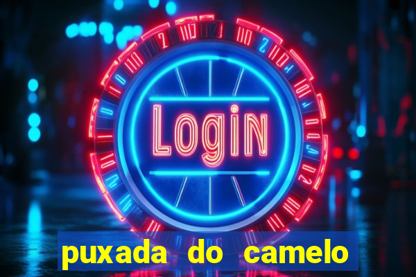 puxada do camelo jogo do bicho