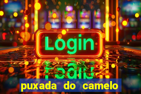 puxada do camelo jogo do bicho