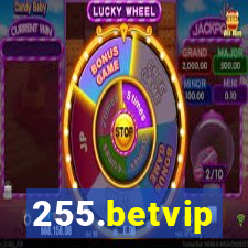 255.betvip