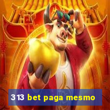 313 bet paga mesmo