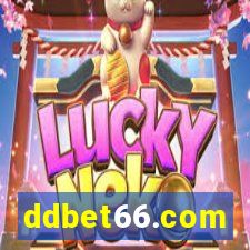 ddbet66.com