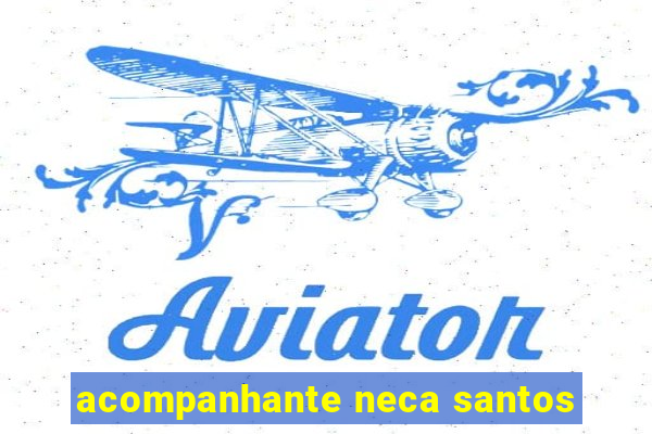 acompanhante neca santos