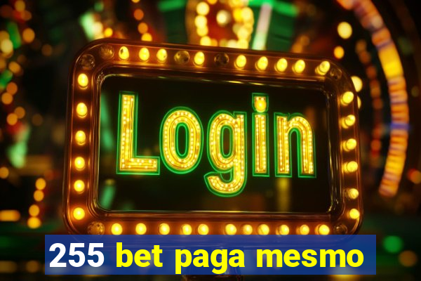 255 bet paga mesmo