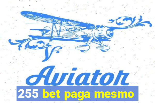 255 bet paga mesmo