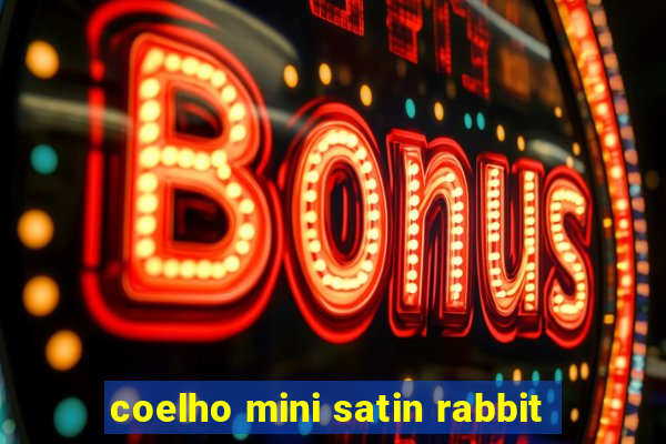 coelho mini satin rabbit