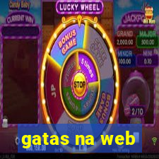 gatas na web